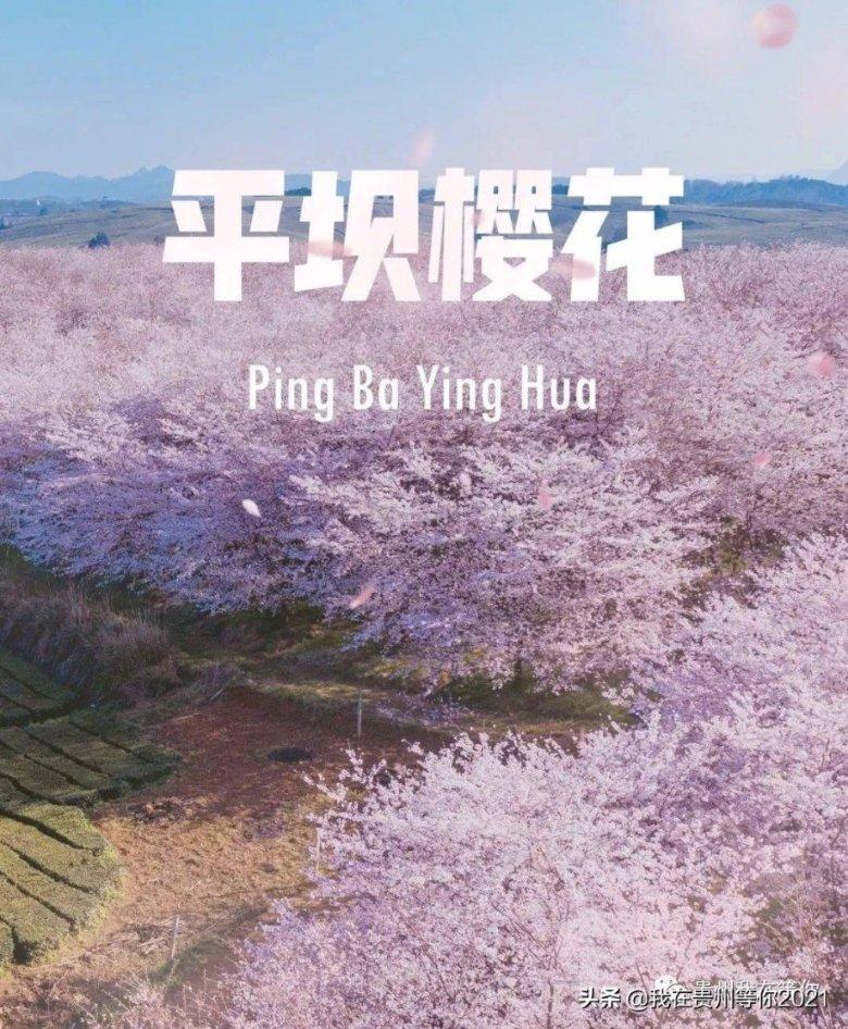 精灵嘉年华