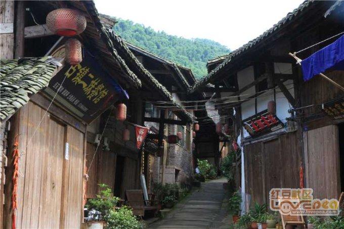 天津渤海银行女排:细节还需提高,拼搏才有机会